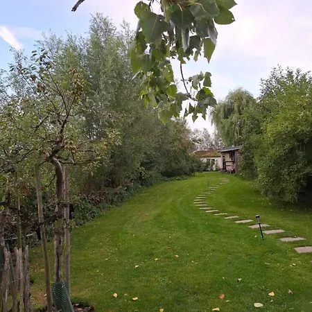 Cherry Bed and breakfast