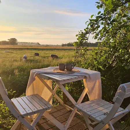Cherry Bed and breakfast Schoonrewoerd