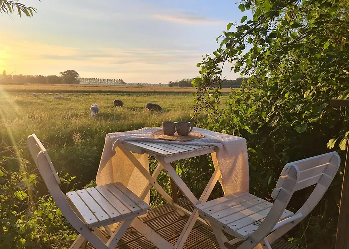 Cherry فندق مبيت وإفطار Schoonrewoerd