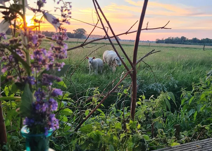 فندق مبيت وإفطار Cherry Schoonrewoerd