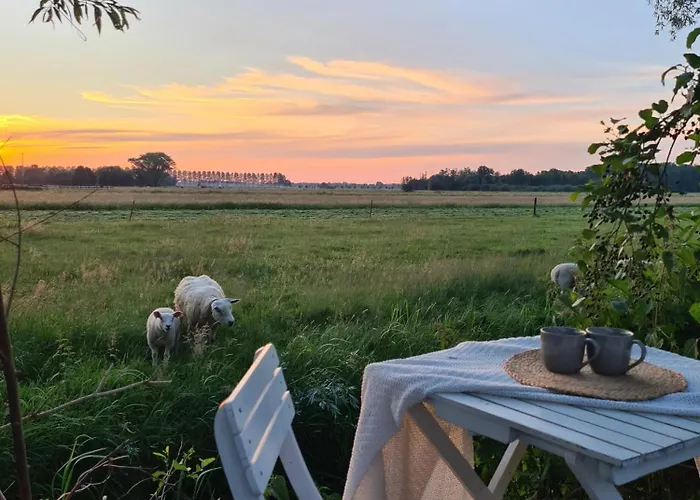 Cherry فندق مبيت وإفطار 3*