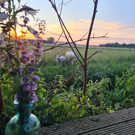 Bed and breakfast Cherry Schoonrewoerd